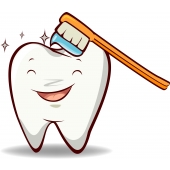 Tooth Mousse — эффективное стоматологическое средство для профилактики кариеса